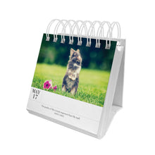 Animal 365 Calendar - Puppy