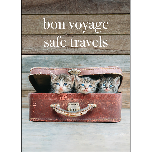 Kitten Travel card – Affirmations Publishing House NZ