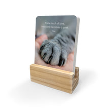 DGC - The Great Catsby - 24 affirmation cards + stand