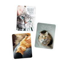 DGC - The Great Catsby - 24 affirmation cards + stand