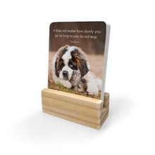 DLP - Little Paws - 24 affirmation cards + stand