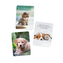 DLP - Little Paws - 24 affirmation cards + stand