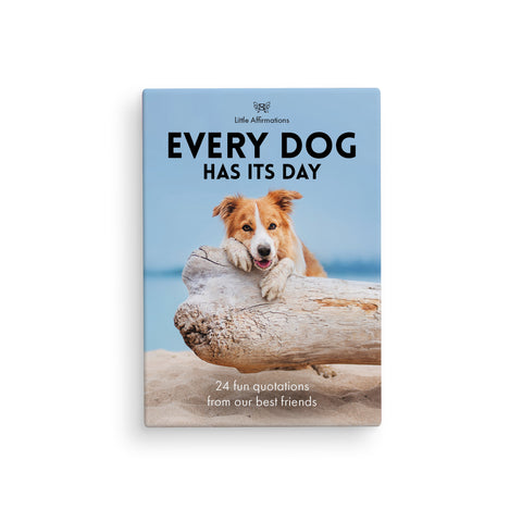 DOG - EVERY DOG HAS IT'S DAY - 24 AFFIRMATION CARDS + STAND