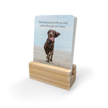 DPZ - Pupparazzi - 24 affirmation cards + stand