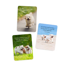 DPZ - Pupparazzi - 24 affirmation cards + stand