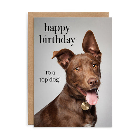 M158 - Happy Birthday to a top dog! - Dog Birthday Card