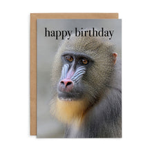 M159 - Happy Birthday. - Animal Birthday Card