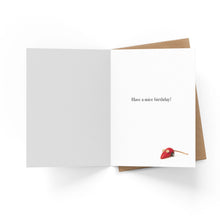 M161 - Happy Birthday. - Cat Birthday Card