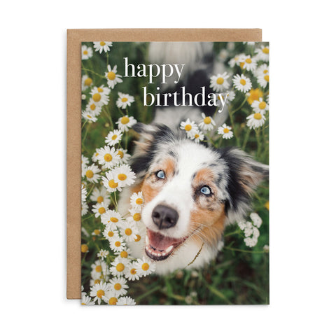 M162 - Happy Birthday. - Dog Birthday Card