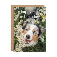 M162 - Happy Birthday. - Dog Birthday Card