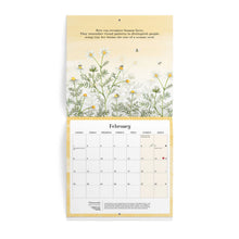 2027 Affirmations Nature Wall Calendar