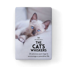 DCW - The Cat's Whiskers