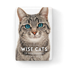 DWC - WIse Cats - 24 card set + stand