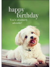 M002 - Happy Birthday - Animal Greeting Card