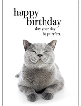 M003 - Happy Birthday - Animal Greeting Card