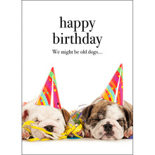 M113 - Happy Birthday We might be old dogs - Animal Greeting Card