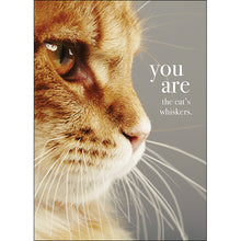 M119 - You are the cat's whiskers - Animal Greeting Card