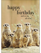 M035 - Happy Birthday - Animal Greeting Card