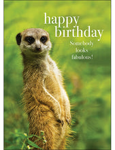 M042 - Happy Birthday - Animal Greeting Card