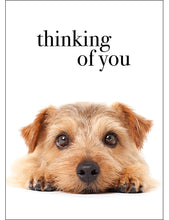 M048 - Thinking of You - Animal Greeting Card