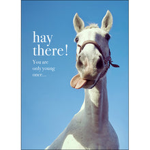 M085 - Hay there! You are only young once - Animal Greeting Card