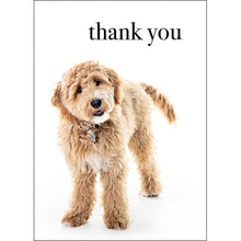 M096 - Thank you. You're the best! - Animal Greeting Card