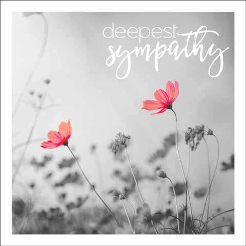 TS17 - Deepest sympathy mini greeting card